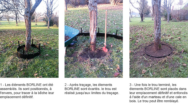 http://www.piscines-hydrosud.fr/medias_produits/imgs/installation-bordure-de-bassin-et-jardin-borline.jpg