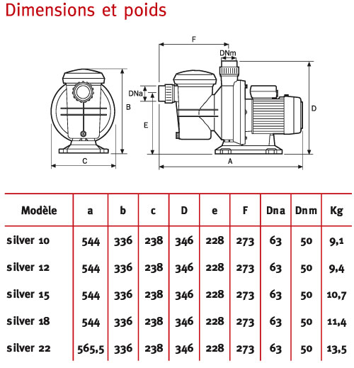 Pompe piscine Silver 10 M