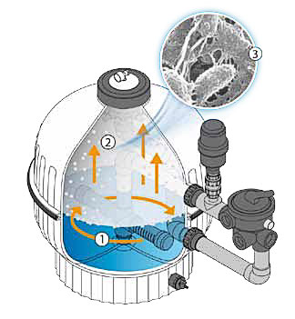 https://www.piscines-hydrosud.fr/medias_produits/imgs/fonctionnement-du-filtre-biologique.jpg