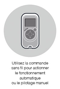 robot piscine botia 3