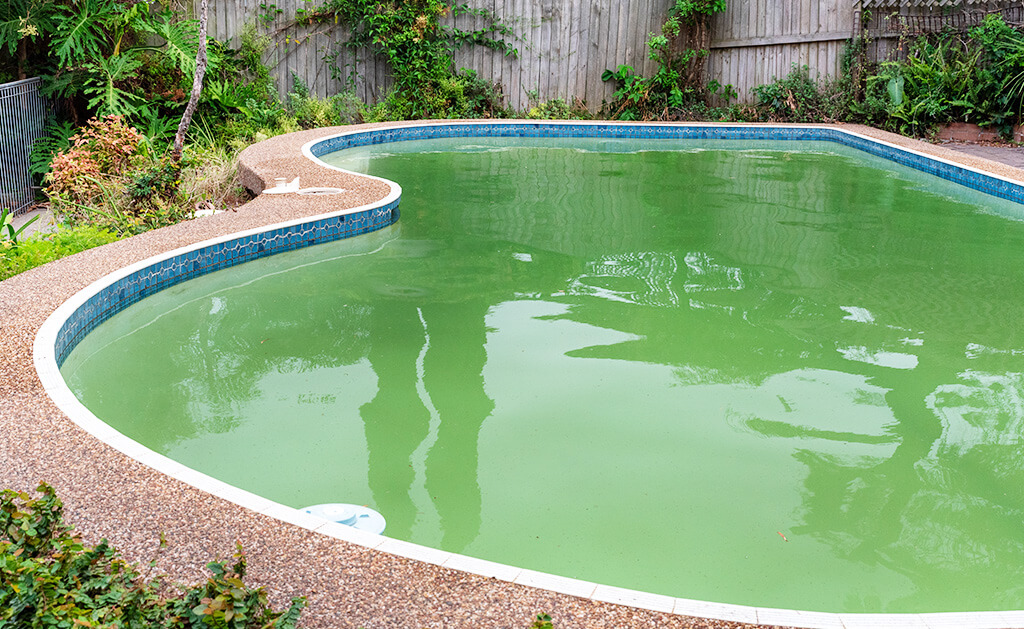 eau de piscine non traité